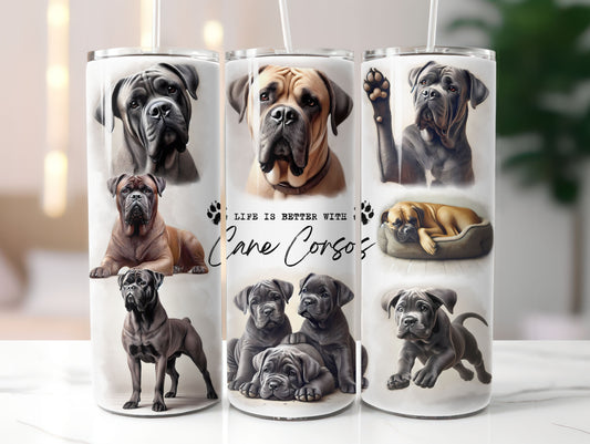 Cane Corso Dog Life is Better with 20oz Tumbler
