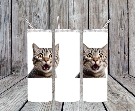 Surprised Cat 20oz Tumbler