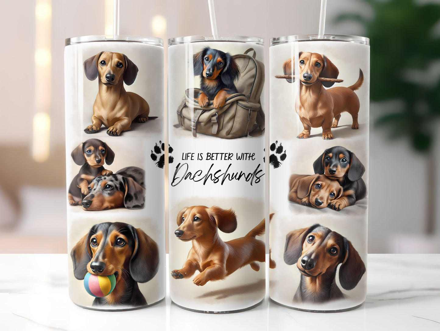 Dachshund 3 Dog Life is Better with 20oz Tumbler
