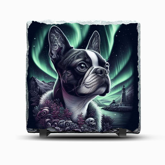 Boston Terrier Dog with Skulls and Northern Lights Design Printed Rock Slate