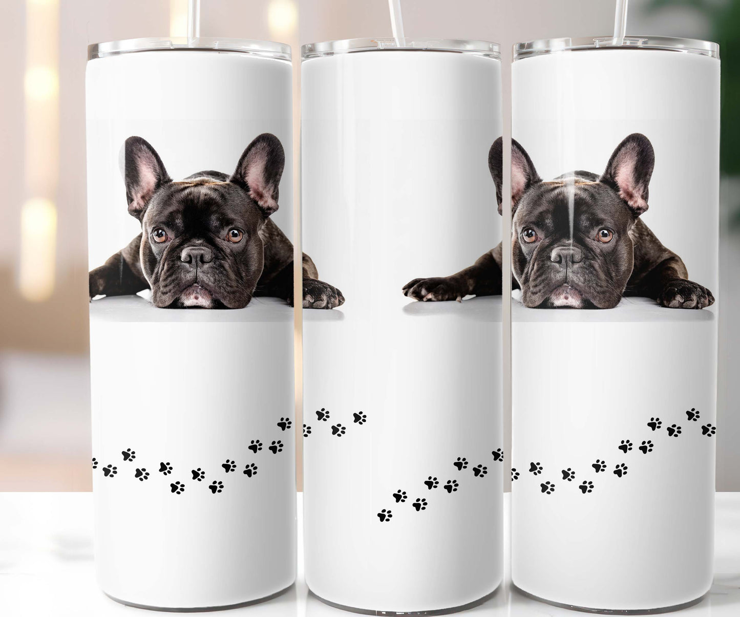 Dog - Frenchie Laying 20oz Tumbler