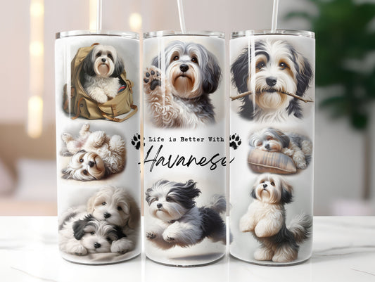 Havanese Dog Life is Better with 20oz Tumbler