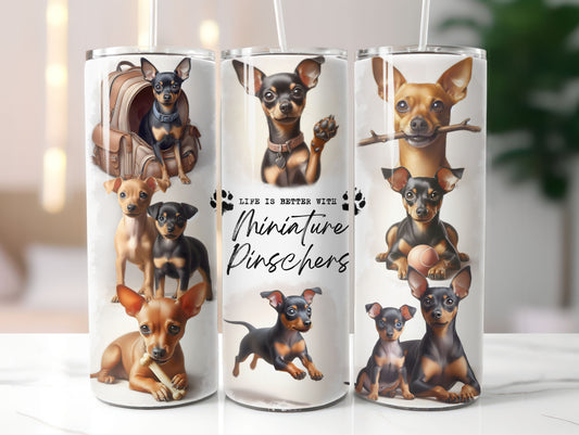 Miniature Pinscher Dog Life is Better with 20oz Tumbler