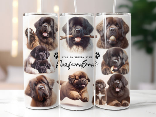 Newfoundland Dog Life is Better with 20oz Tumbler