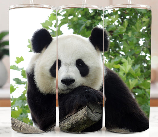 Panda 20oz Tumbler