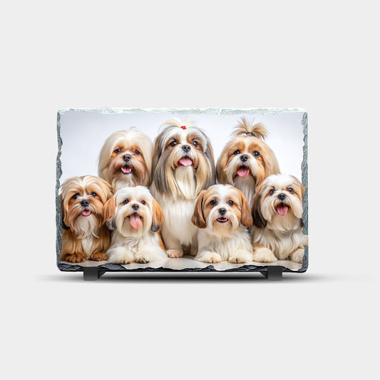 Shih Tzu Dog Design Printed Rock Slate