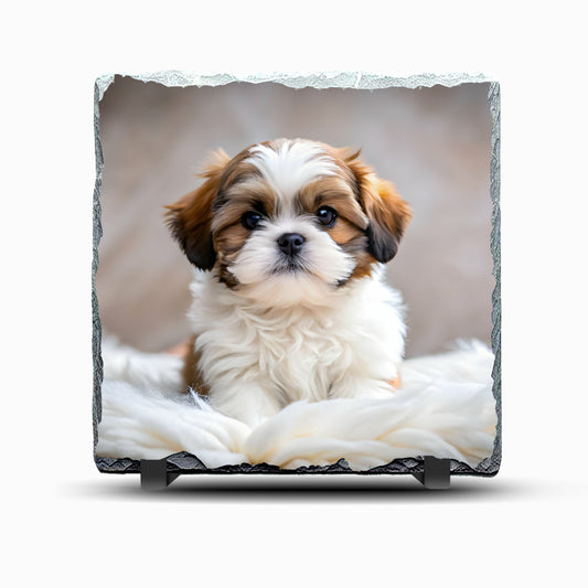 Shih Tzu Design 2 Printed Rock Slate
