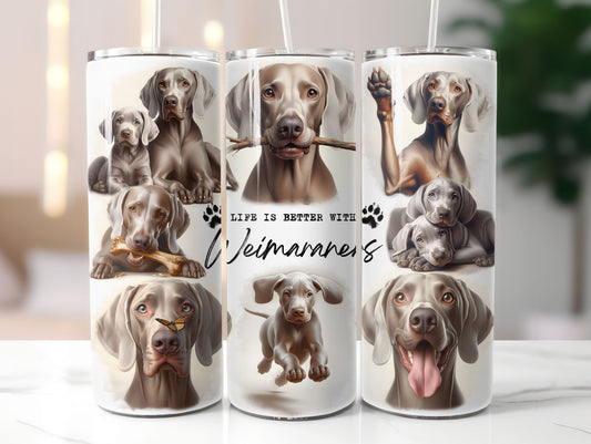 Weimaraner Dog Life is Better with 20oz Tumbler