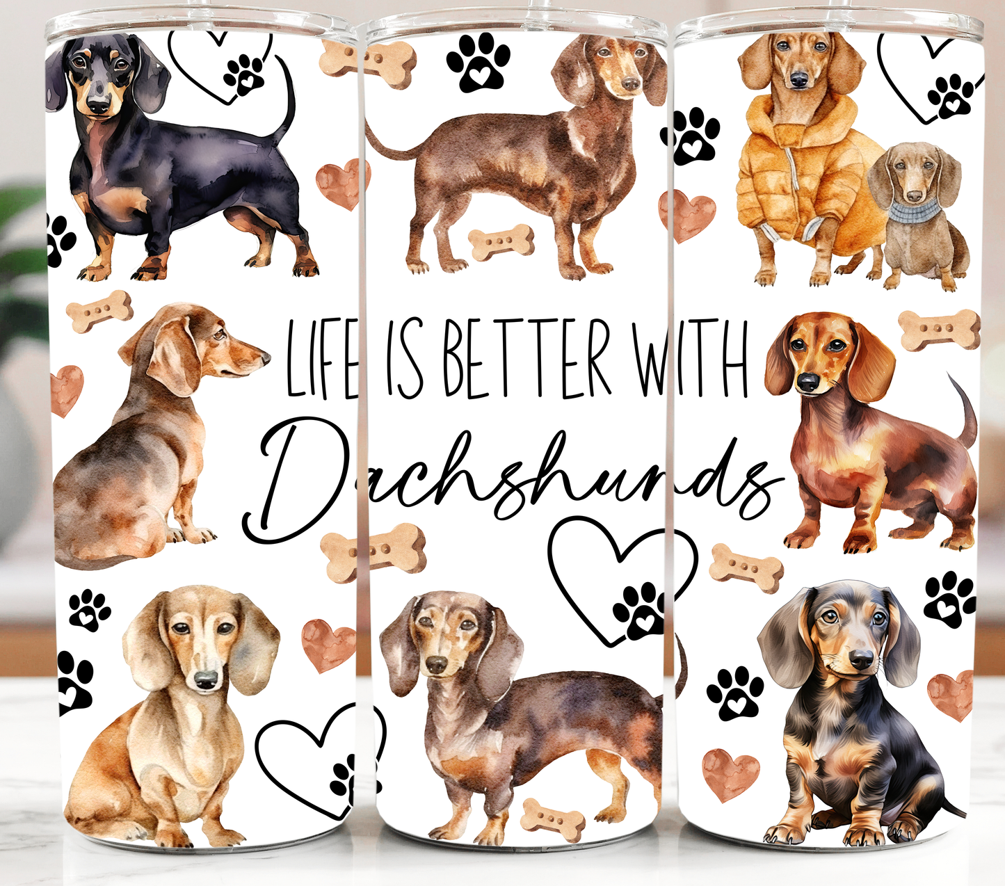 Dog Life with Dachshunds 20oz Tumbler