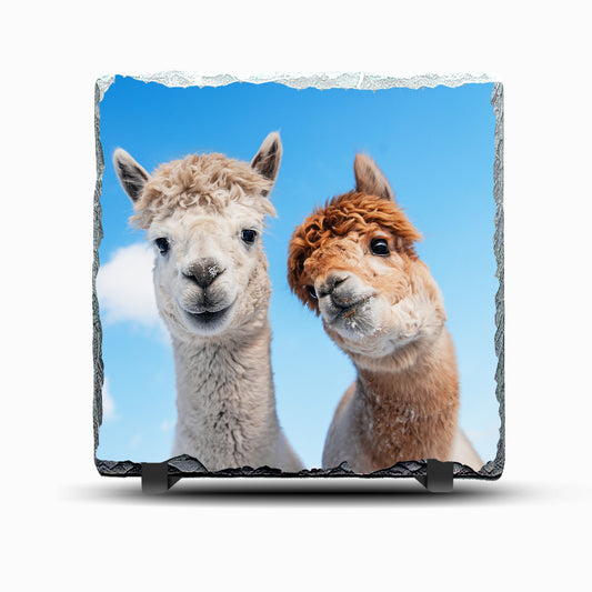 Alpacas Design Printed Photo Slate