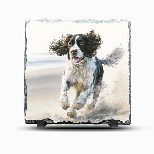 Dog English Springer Spaniel Design Printed Rock Slate