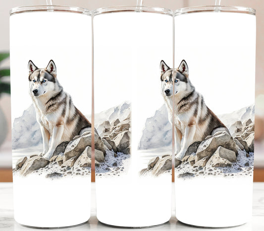 Dog - Siberian Huskey 20oz Tumbler