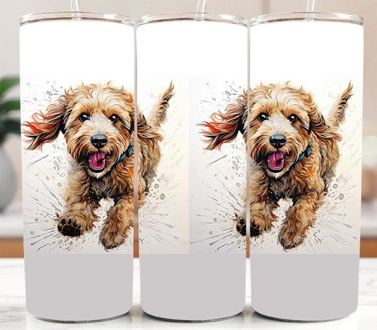 Dog - Labradoodle
