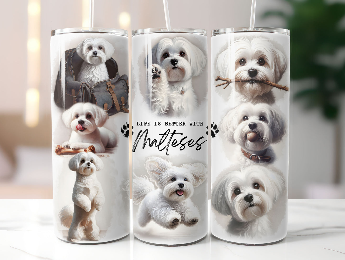 Maltese Dog Life is Better with 20oz Tumbler