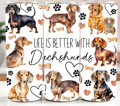 Dog Life with Dachshunds 20oz Tumbler
