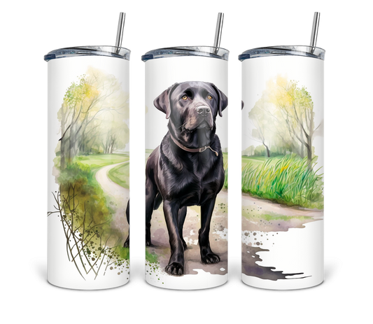 Dog Black Labrador 20oz Tumbler